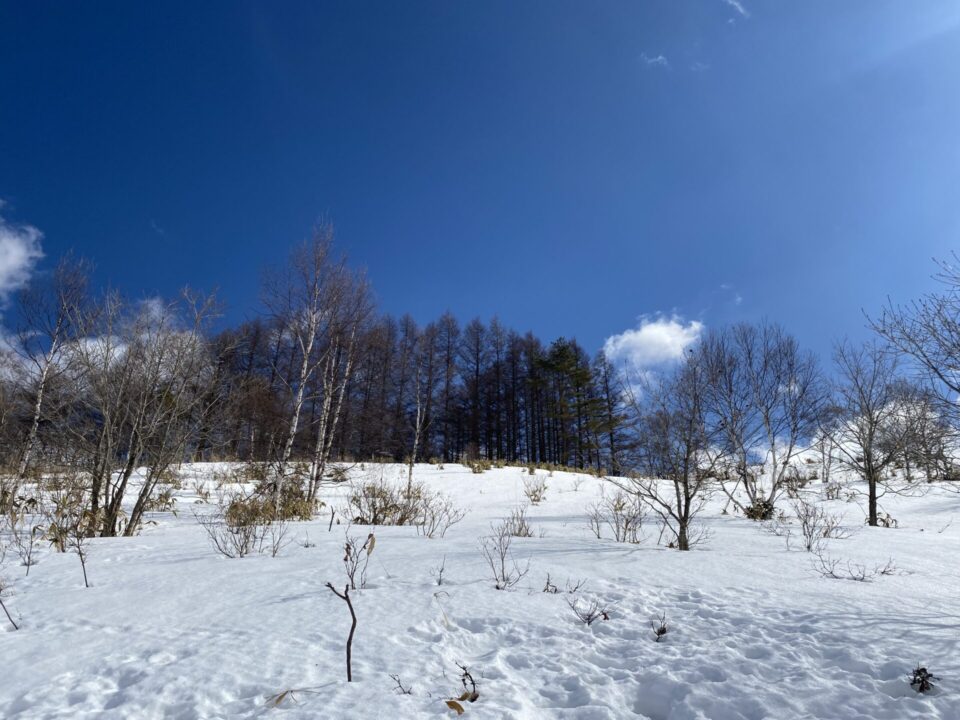 霧ヶ峰