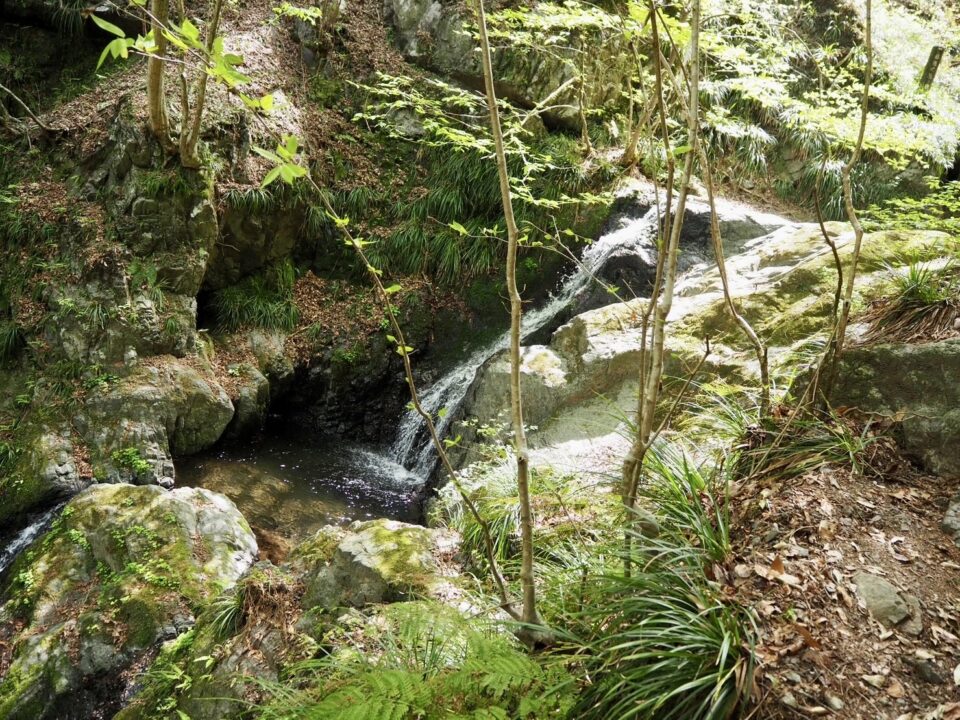 棒の折山の沢