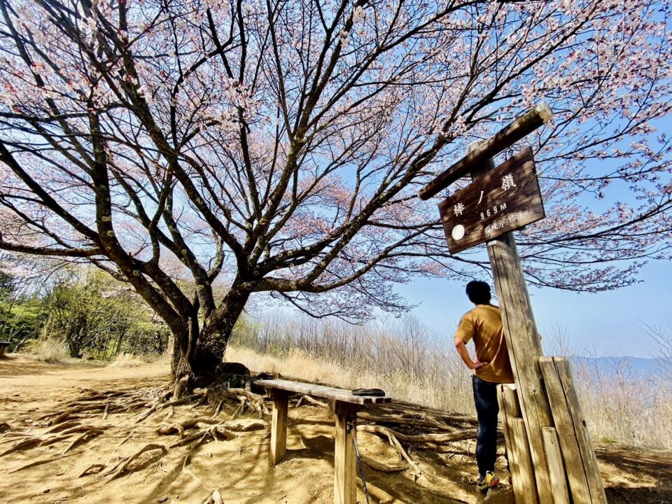 棒の折山山頂